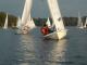DSCF0264.JPG  0K 600x450