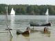 2005-10-09-Kehraus-047.JPG  0K 640x480