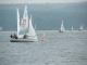 2005-10-09-Kehraus-051.JPG  0K 640x480