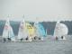 2005-10-09-Kehraus-065.JPG  0K 640x480