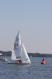 _MG_4019.JPG  0K 432x657