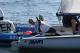 idm2011_0037.JPG  0K 972x648