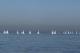 idm2011_0048.JPG  0K 972x648