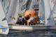 idm2011_0062.JPG  0K 972x648