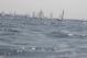 _MG_2645.JPG  0K 578x386