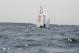 _MG_2691.JPG  0K 578x386