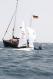 _MG_2829.JPG  0K 384x578