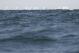 _MG_2885.JPG  0K 578x386