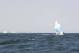 _MG_2888.JPG  0K 578x386