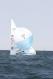 _MG_2901.JPG  0K 384x578