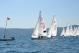 DSC_0550.JPG  93K 1000x667
