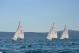 DSC_0553.JPG  83K 1000x667