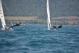 DSC_0558.JPG  114K 1000x667