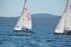 DSC_0569.JPG  91K 1000x667