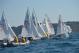 DSC_0583.JPG  103K 1000x667