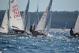 DSC_0596.JPG  132K 1000x667