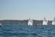 DSC_0625.JPG  80K 1000x667