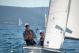 DSC_0629.JPG  92K 1000x667