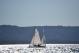 DSC_0680.JPG  86K 1000x667