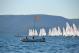 DSC_0682.JPG  103K 1000x667