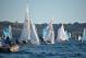 DSC_0704.JPG  100K 1000x667