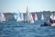 DSC_0705.JPG  112K 1000x667