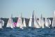DSC_0707.JPG  102K 1000x667