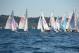 DSC_0709.JPG  119K 1000x667