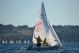 DSC_0721.JPG  81K 1000x667