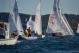 DSC_0726.JPG  107K 1000x667