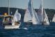 DSC_0727.JPG  107K 1000x667