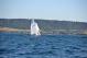 DSC_0728.JPG  107K 1000x667