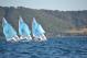 DSC_0731.JPG  124K 1000x667
