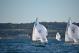 DSC_0747.JPG  86K 1000x667