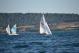 DSC_0749.JPG  112K 1000x667