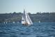 DSC_0752.JPG  98K 1000x667
