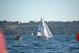 DSC_0753.JPG  92K 1000x667