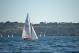 DSC_0754.JPG  92K 1000x667