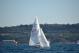 DSC_0760.JPG  80K 1000x667