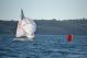 DSC_0767.JPG  90K 1000x667