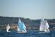 DSC_0769.JPG  81K 1000x667