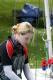 _MG_9859.JPG  0K 434x650