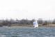 _MG_8494.JPG  0K 581x388